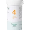 Pfluger Kalium chloratum 4 D6 Schussler (400 tabletten)
