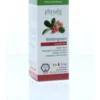 Physalis Wintergreen bio (10 ml)