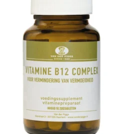 Pigge Vitamine B12 Complex (90 zuigtabletten)