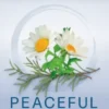Piramide Peaceful Nights Kamille & Rooibos Biologische Thee (20 zakjes)
