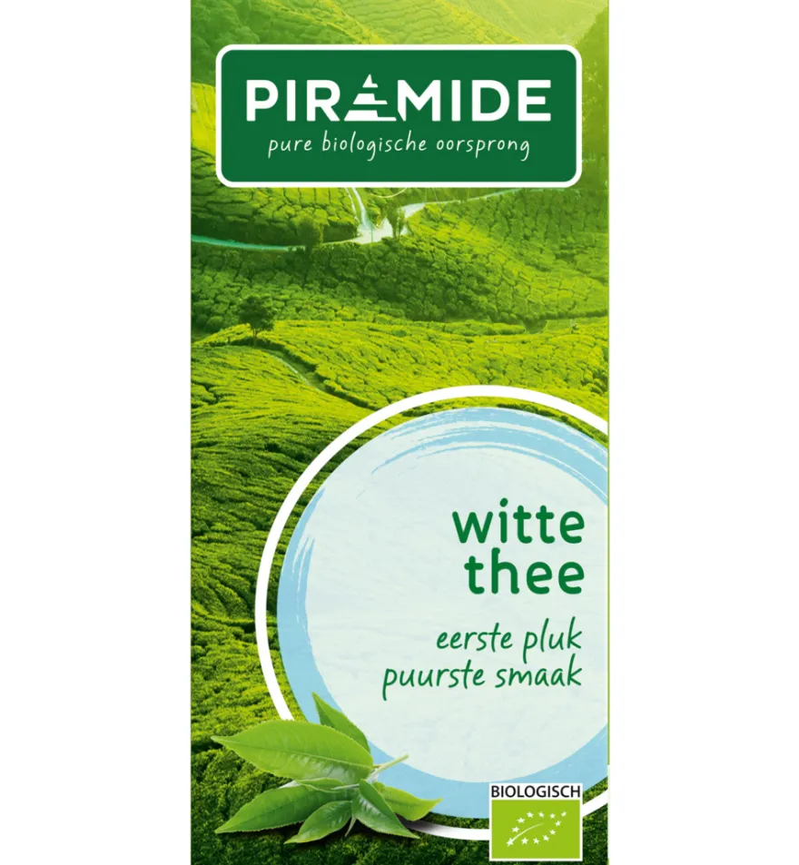 Piramide Witte Thee Original Eko Bio (20 stuks)