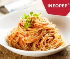 Precision Biotics INEOPEP (90 tabletten)