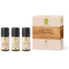 Primavera set aroma sauna strength & calmness bio (3 x 10 ml)