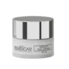 Remescar Gravity Daycream (50 ml)