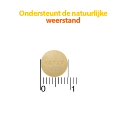 Roter Vitamine C 70 mg suikervrij (300 kauwtabletten)