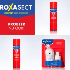 Roxasect Fruitvliegjes (1 stuk)