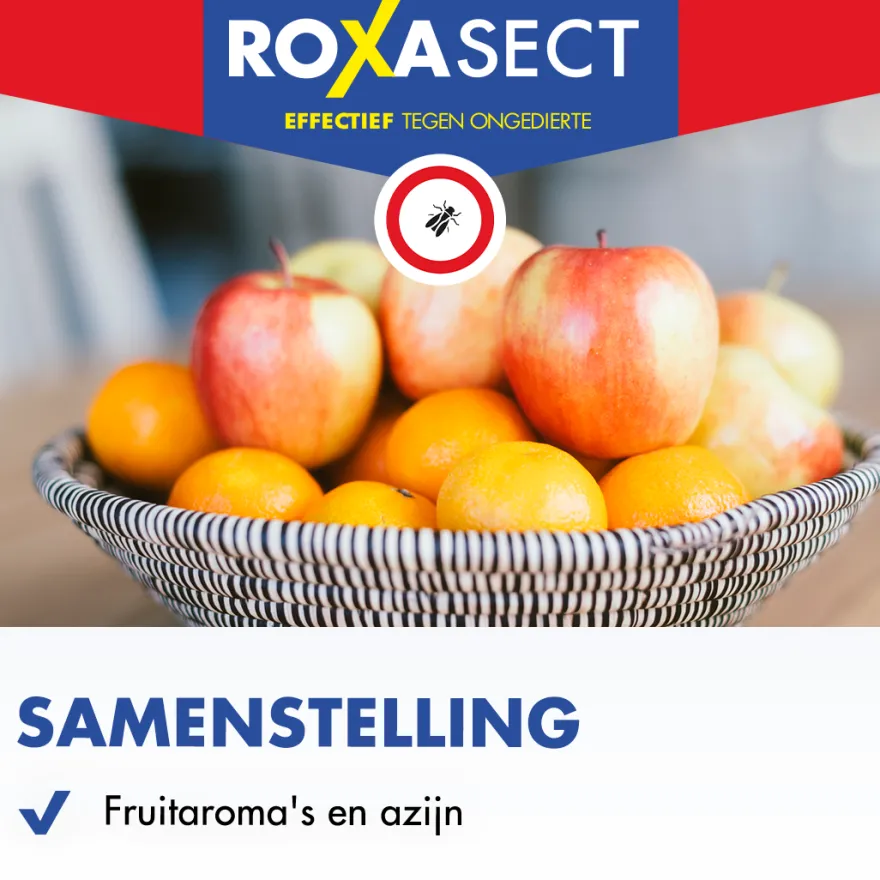 Roxasect Fruitvliegjes (1 stuk)