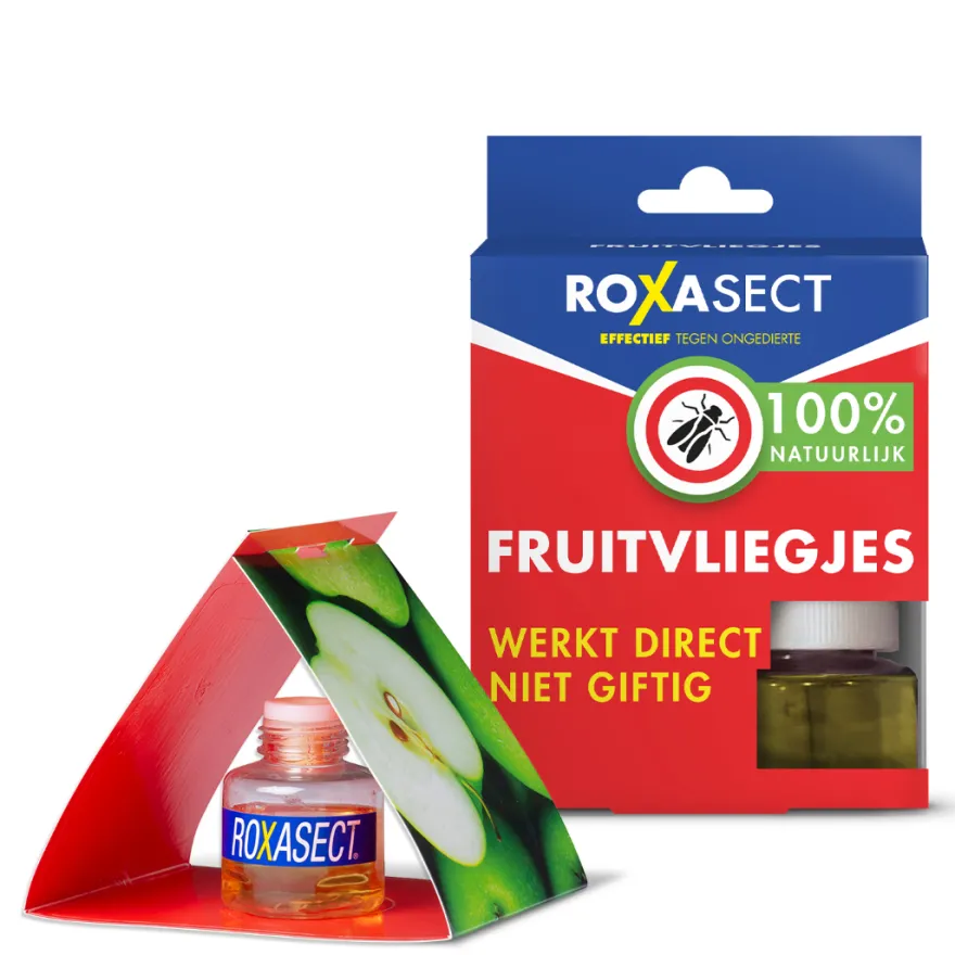 Roxasect Fruitvliegjes (1 stuk)