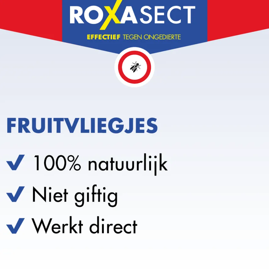 Roxasect Fruitvliegjes (1 stuk)