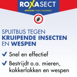 Roxasect Spuitbus tegen kruipende insecten/wespen (400 ml)
