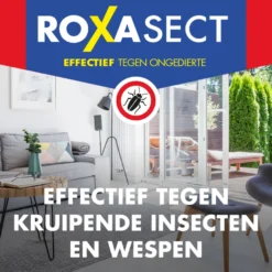 Roxasect Spuitbus tegen kruipende insecten/wespen (400 ml)