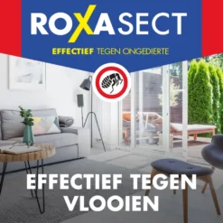 Roxasect Spuitbus tegen vlooien (300 ml)