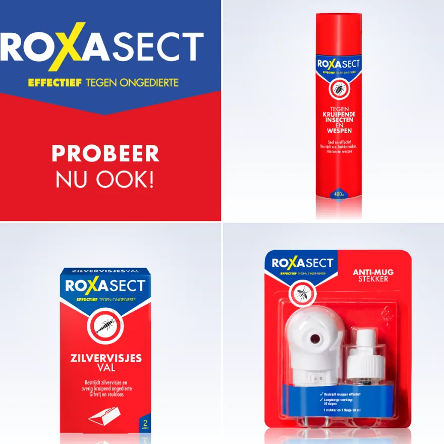Roxasect Spuitbus vliegende insecten (400 ml)