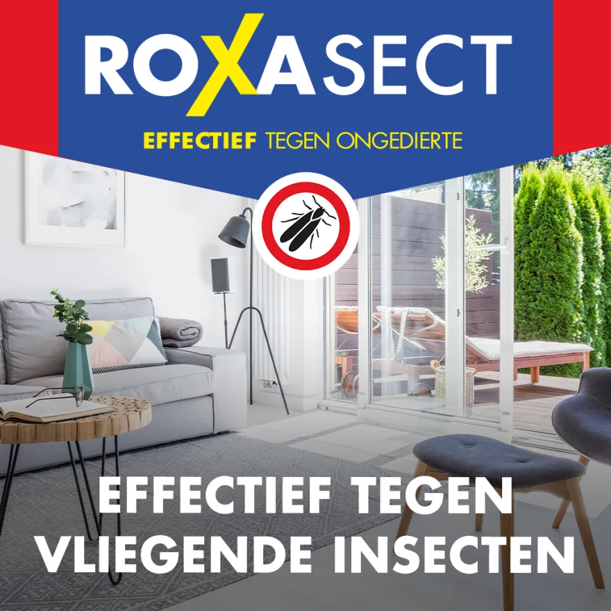Roxasect Spuitbus vliegende insecten (400 ml)