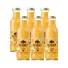 Schulp Sinaasappelsap Bio 6 Pack (6 x 750 ml)
