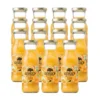 Schulp Sinaasappelsap Bio 15 Pack (15 x 200 ml)