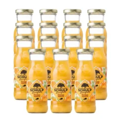 Schulp Sinaasappelsap Bio 15 Pack (15 x 200 ml)