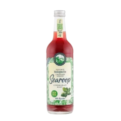 Searoop Ice Tea Bio (500 ml)
