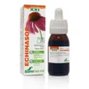 Soria Composor 8 Echinasor XXI (50 ml)