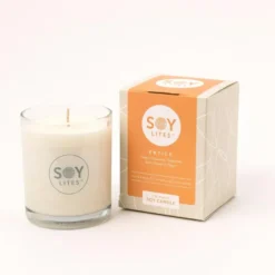 Soylites Soya Geurkaars 15 uur Entice (1 stuk)