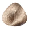Toujours Trend Color 9.31 Very Light Golden Ash Blonde (100 ml)