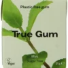 True Gum Mint suikervrij (21 gr)