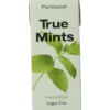 True Mints Fresh mint suikervrij (13 gr)
