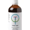 TW Uva Ursi Beredruif Tinctuur (100 ml)