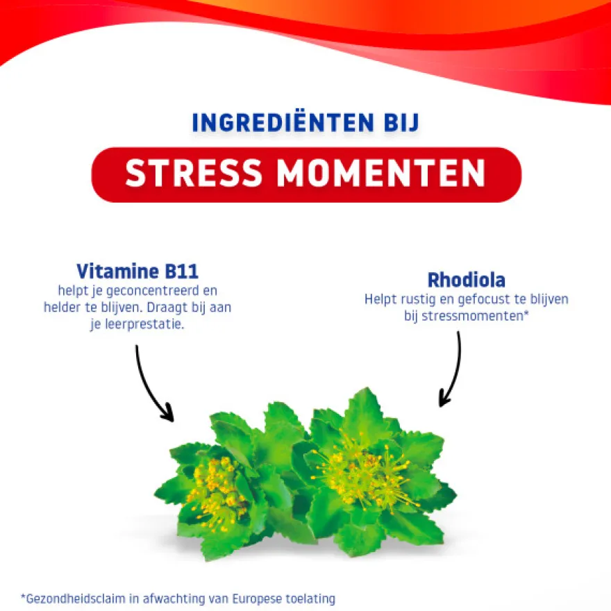 Valdispert Stress Gummy (30 gummies)