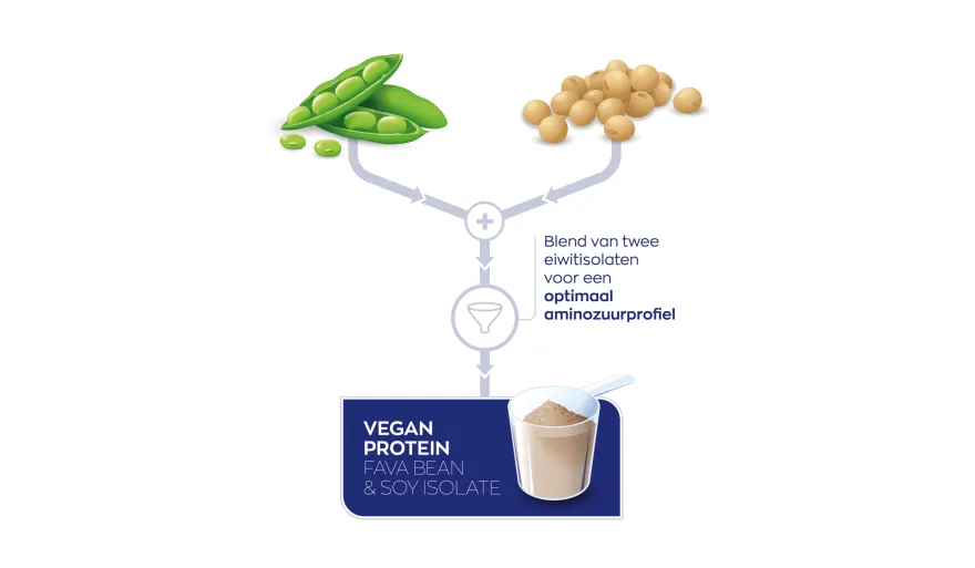 Vegan Protein EverPro™ & Fava Bean (921 gr)