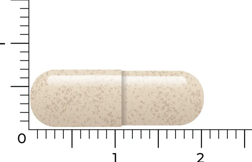 Vitakruid Ashwagandha 5% Withanoliden KSM-66® & Bioperine® (90 vega capsules)