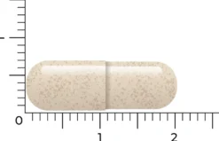 Vitakruid Ashwagandha 5% Withanoliden KSM-66® & Bioperine® (60 vega capsules)