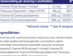 Vitakruid B12 Combi 6.000® met Actief Folaat Vitamine (120 smelttabletten)
