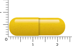 Vitakruid Berberine 500 Rebersa® 97-102% Berberine Zouten (90 vega capsules)