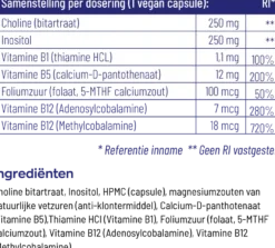 Vitakruid Choline Complex met Inositol, B1, B5, B12 & Folaat (90 vega capsules)