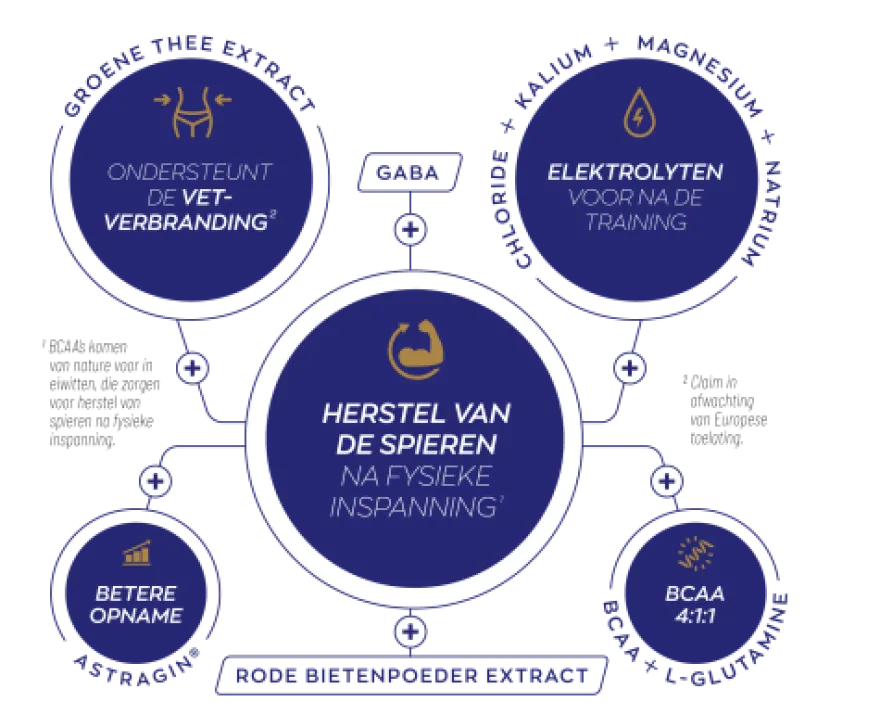 Vitakruid Elite Post Workout Vrouw BCAA 4:1:1 & Elektrolyten (325 gr)