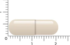 Vitakruid Groenlipmossel Extract & Ovomet Eierschaalmembraam (90 vega capsules)