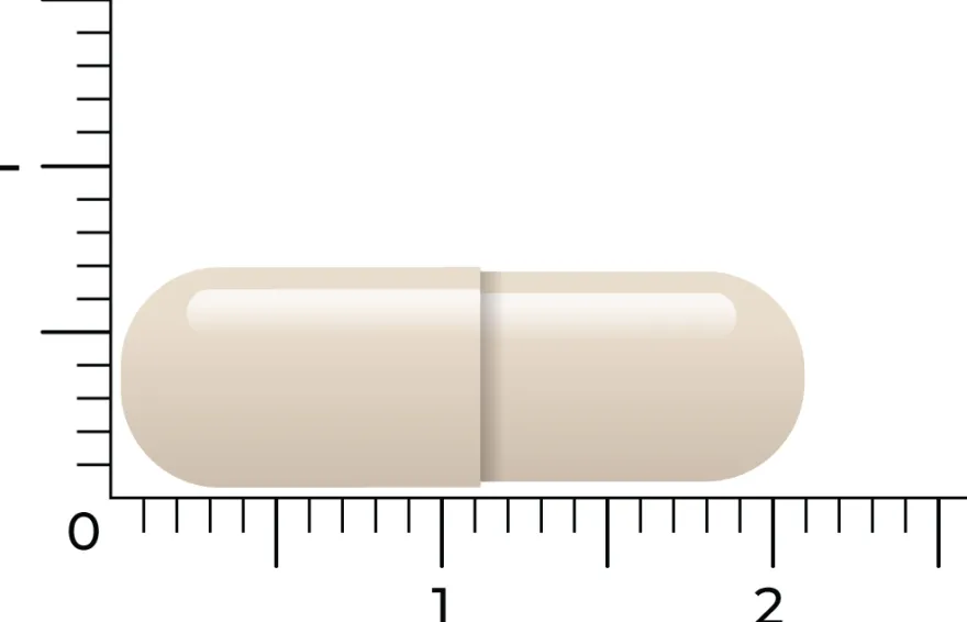 Vitakruid Groenlipmossel Extract & Ovomet Eierschaalmembraam (90 vega capsules)