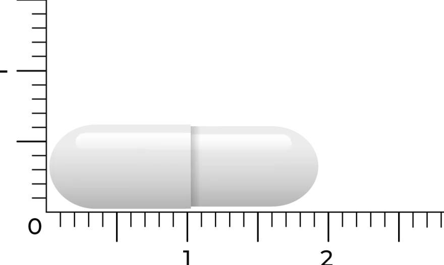 Vitakruid Lactase Enzym Optiferm® 3.000 FCC (90 vega capsules)