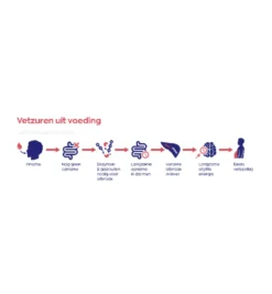 Vitakruid MCT Olie C8 100% Zuivere & Duurzame Kokosolie (500 ml)