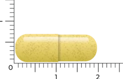 Vitakruid Quercetine 250 Quercefit® Phytosome®-Technologie (60 vega capsules)
