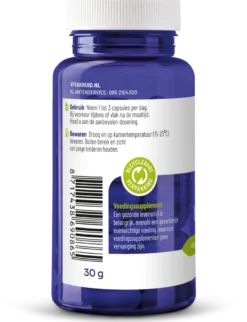 Vitakruid S-Acetyl-L-Glutathion 100 mg (90 vega capsules)