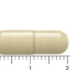 Vitakruid Saffraan 28 mg (Affron®) & L-Theanine Groene Thee (30 vega capsules)