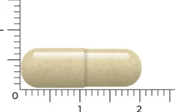 Vitakruid Saffraan 28 mg (Affron®) & L-Theanine Groene Thee (30 vega capsules)