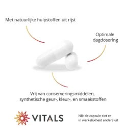 Vitals Curcumine SLCP (120 capsules)