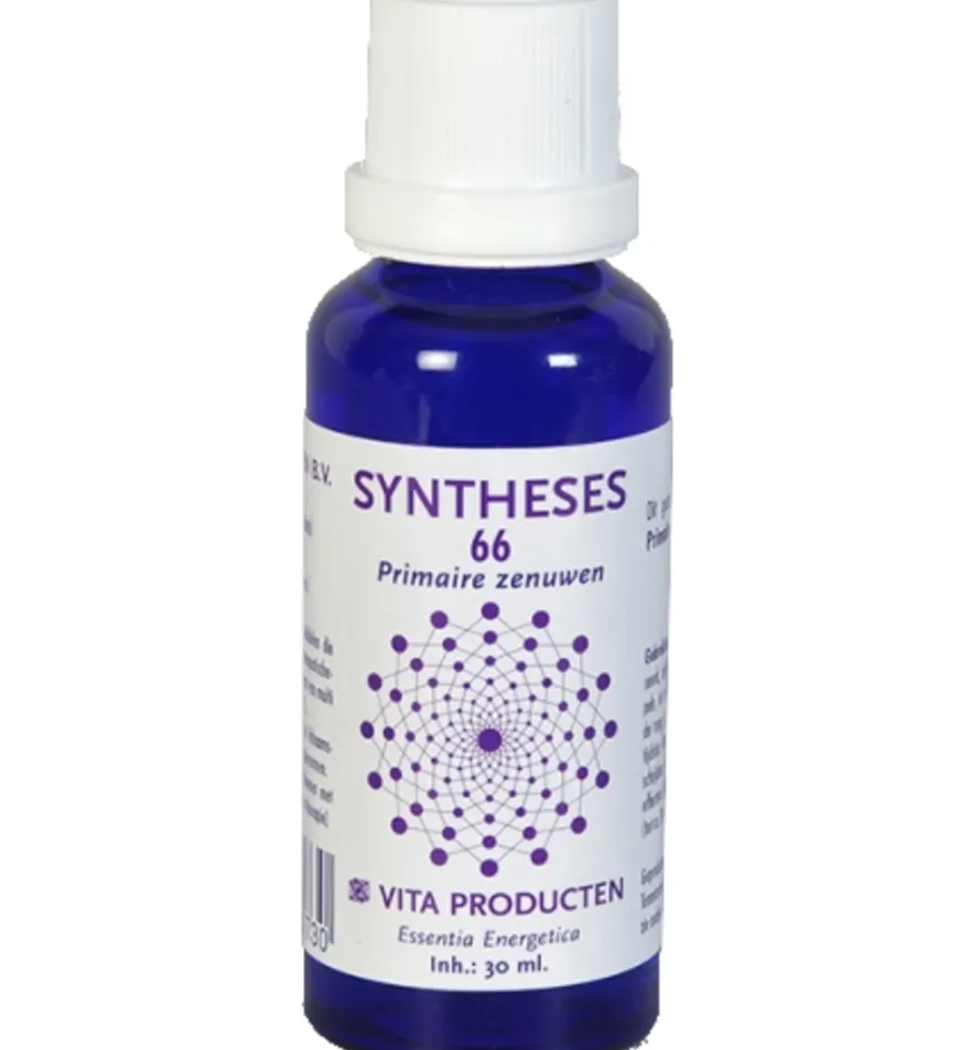 Vita Syntheses 66 primaire zenuwen (30 ml)
