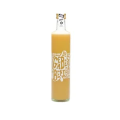 Vitiv De Gemberbende Gembersap Puur En Suikervrij Bio (500 ml)