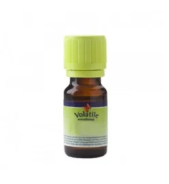 Volatile Kokos Parfum (5 ml)