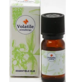 Volatile Wintergreen Bio (10 ml)