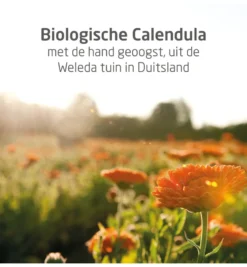WELEDA Calendula baby cremebad (200 ml)